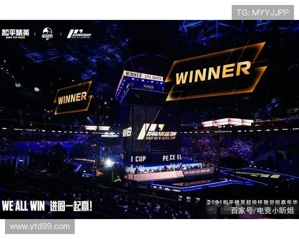 和平精英盛典：深入解析RNG战队背后的强大实力与团队精神